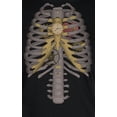 thumbnail image 4 of Halloween Steampunk Mechanical Skeleton Costume Mens Long Sleeve T Shirt, 4 of 5