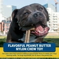 thumbnail image 2 of Bullibone Nylon Bone Dog Chew Toy - XL Peanut Butter - 2 Pack, 2 of 6