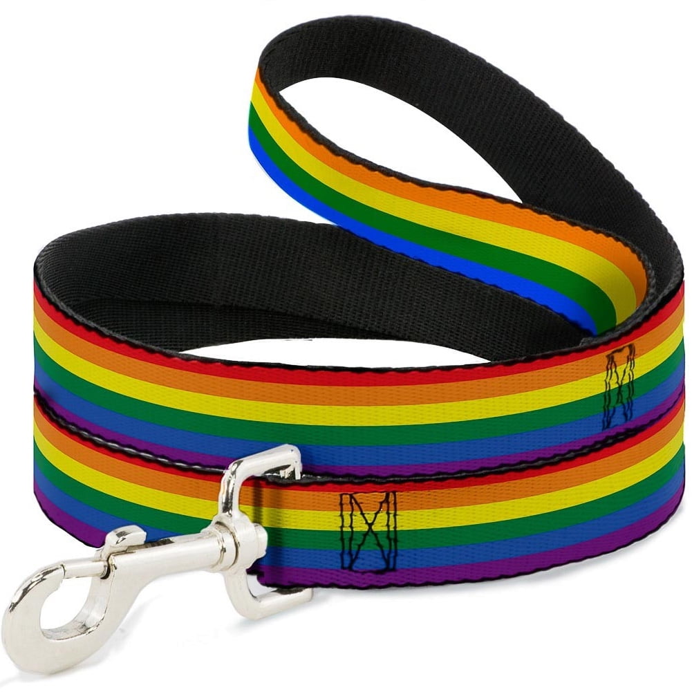 Gay Pride rainbow designer buckle dog collar with leash set option