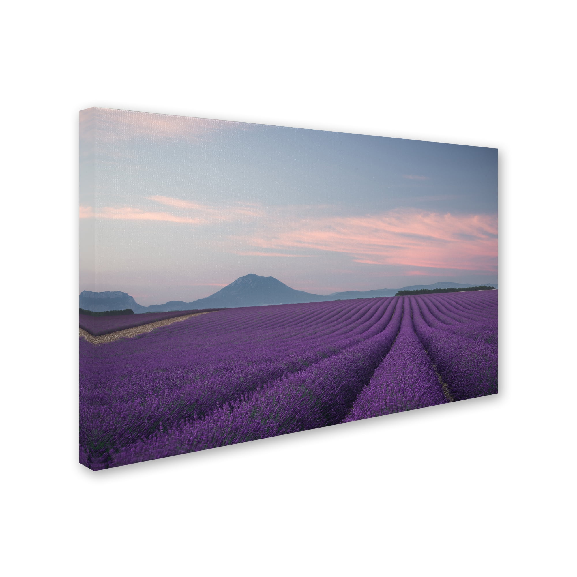 Rostovskiy Anton 'Lavender Field' Canvas Art