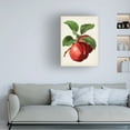 thumbnail image 3 of Vision Studio 'Antique Fruit X' Canvas Art, 3 of 3