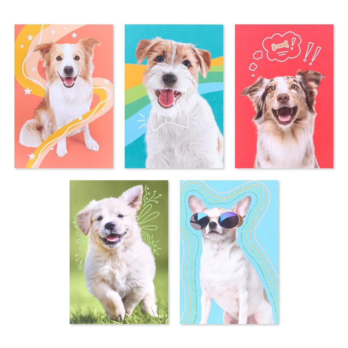 American Greetings 15-Count Blank Cards and Envelopes Assortment Box, Funny Dogs