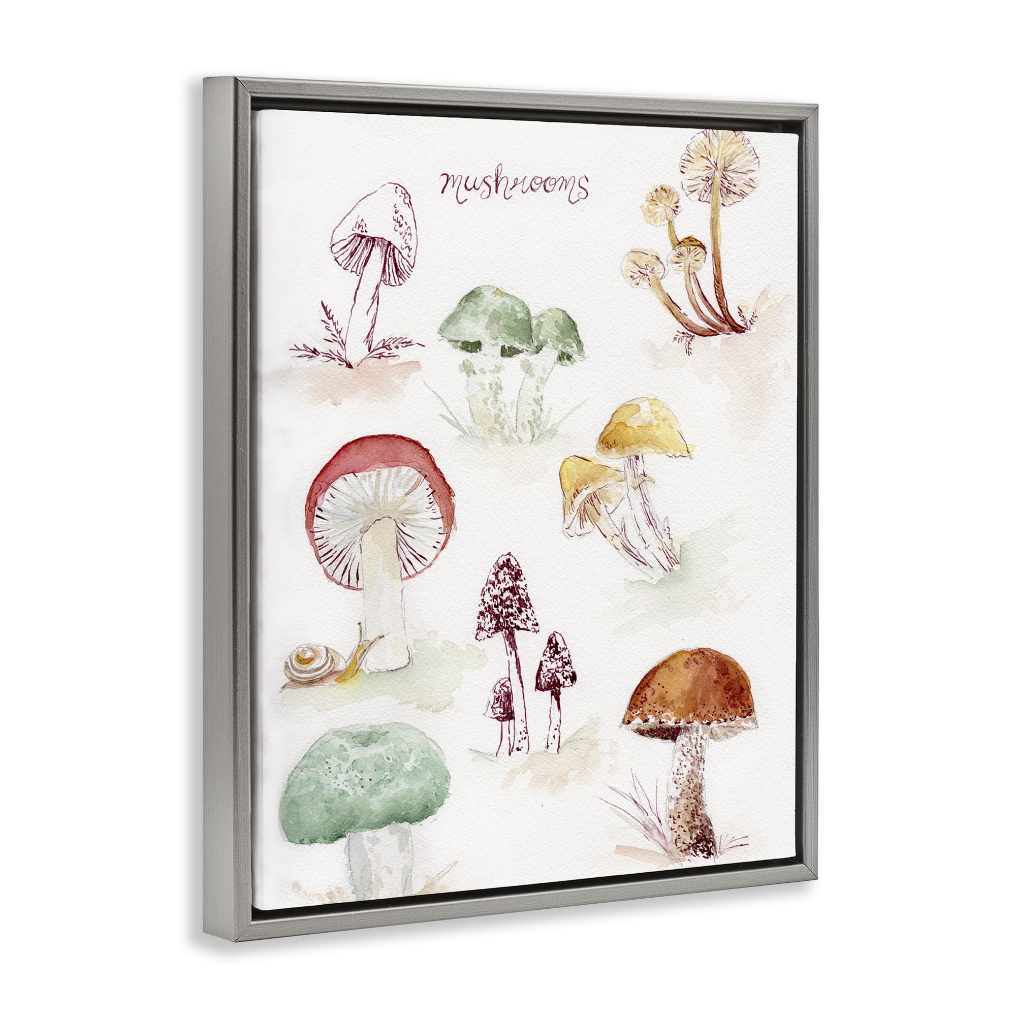 Stupell Industries Types Of Mushrooms Botanical & Floral Painting Gray Floater Framed Art Print Wall Art, 25 x 31