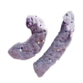 thumbnail image 3 of Protectores de cuchillas para patines artísticos, cómodos y ligeros, protectores para patinaje sobre hielo, de hockey para calentamiento deportivo. gris, 3 of 8