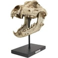 thumbnail image 3 of Ebros Direwolf Fossil Skull Statue On Pole Mount and Brass Name Plate 12.5" Long, 3 of 6
