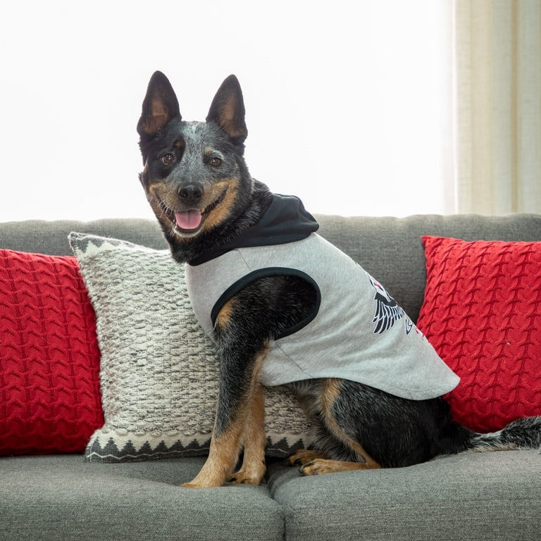 Mama's boy cheap dog sweater