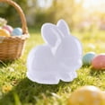 thumbnail image 4 of TIELUTT Forme de Lapin Transparent Bonbons Vide Rangement de Bonbons Organisation du Garde-Manger Grands Contenants de Conservation des Aliments avec Couvercles Hermétiques Brillance Contenants de Conservation des Aliments Bocaux de Rangement Contenants de Cuisine, 4 of 4