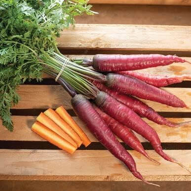 500  Dragon Carrot Seeds for Planting - Exotic Color and Delicious Taste