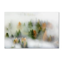 Trademark Fine Art 'Autumn Dream' Canvas Art by Kristjan Rems