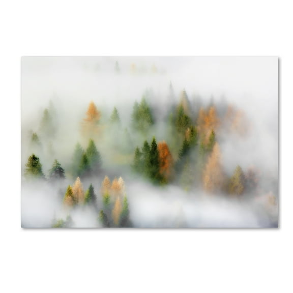 Trademark Fine Art 'Autumn Dream' Canvas Art by Kristjan Rems