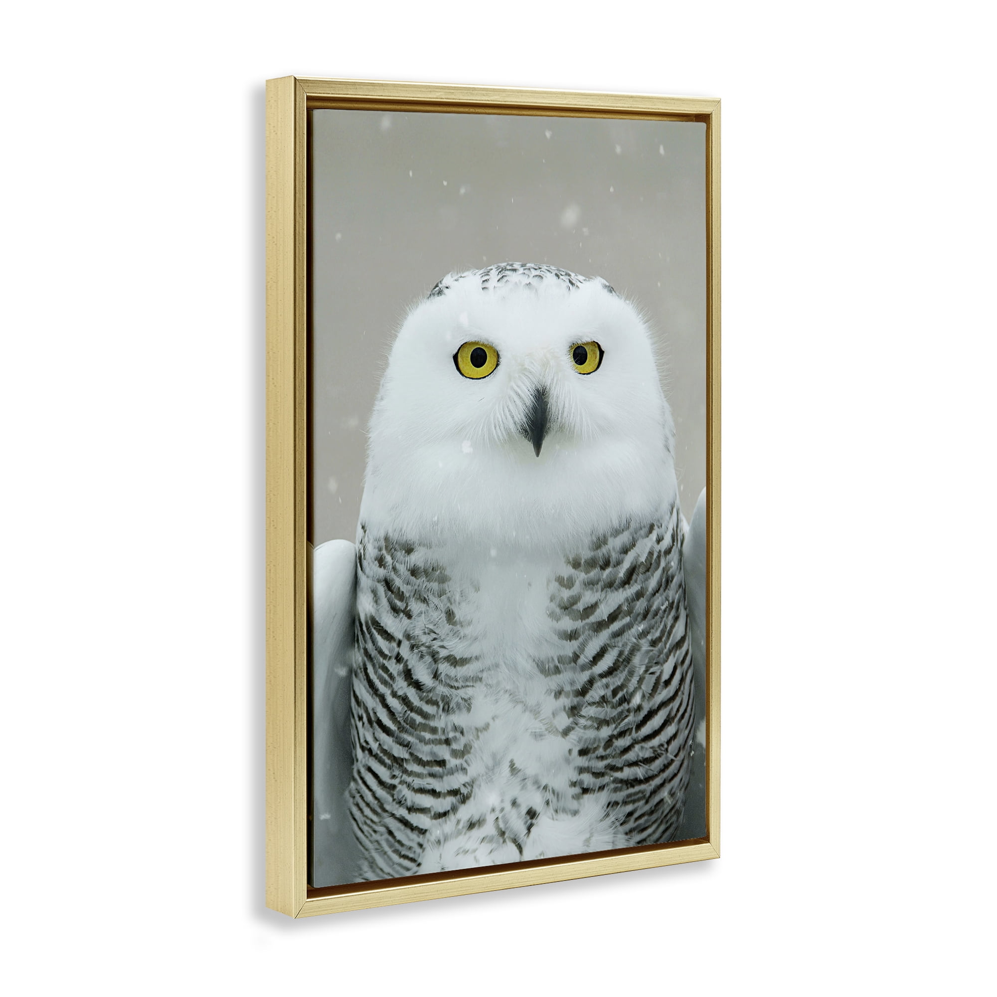Stupell Industries Snowy Owl Portrait Animals & Insects Photography Gold Floater Framed Canvas Art Print Wall Art, 17 x 25