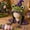 Fantasy Hood Hat DIY Crochet Kit Series - Frog, variant on Fantasy Hood Hat DIY Crochet Kit Series, Animal Hood Hat DIY Crochet Kit for Beginners, Complete Great Experience, Tutorial Guide, Yarn & Hook, Gift for Adults, Dragon