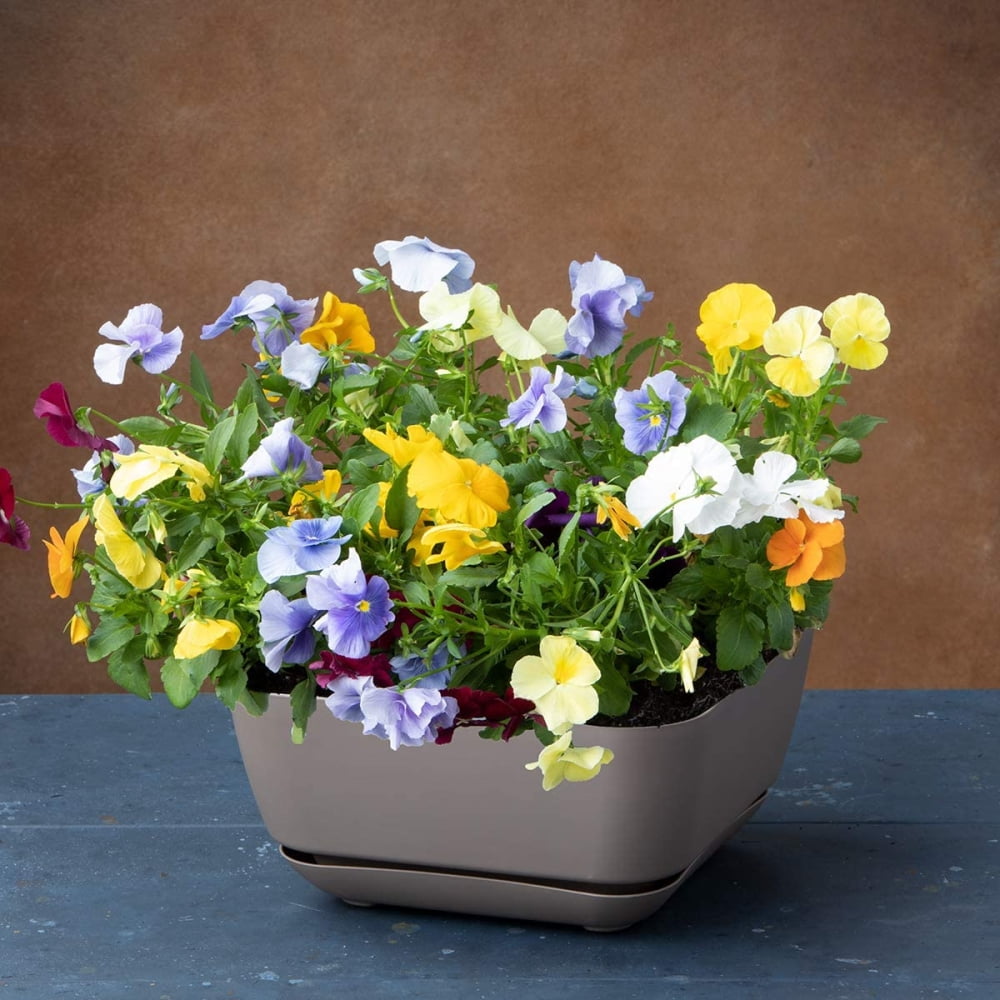 Root & Vessel Majestic Garden Planter, Taupe