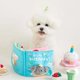 thumbnail image 2 of Juguete de Libro con Olor a Comida para Perros Liuwei, 2 of 4