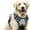 I, variant on uvwlwu PawSafety No Pull Dog Harness, Front Clip Pet Harness For Training, Escape Proof Reflective Vest, Adjustable Padded Straps For Walking Jogging And Outdoor Use(C,A)