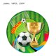 thumbnail image 4 of Tema de campeón de fútbol verde, Baby Shower, fútbol, vajilla desechable, vasos de papel, servilletas, platos, decoración de cumpleaños, 4 of 5