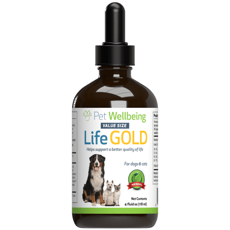 UPC: 0661822000564 | Pet Wellbeing – Life Gold For Large Dogs – Natural Cancer Support For Canines – 4oz (118ml)