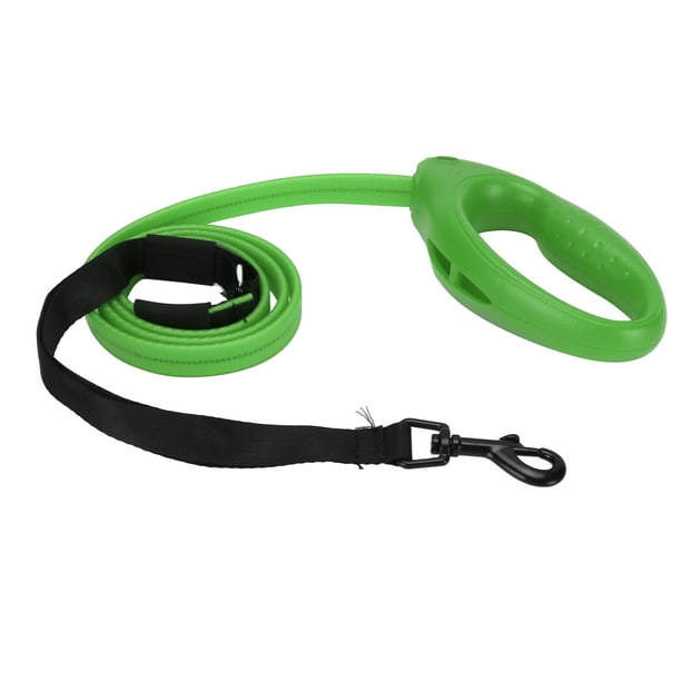 Light Up Dog Leash 4 Feet USB Rechargeable LED Nylon Dog Leash with Universal Collar for Small and Large Dogs Green