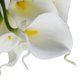 thumbnail image 3 of OHOIOLLA 12Ud Ramo De Flores Artificiales Calla Para De Eventos Y Ambientes En PU, 3 of 8