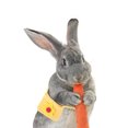 thumbnail image 1 of FONDOTIN Puppy Bag Pet Satchel Felt Material 1Set for Pet Cosplay Parties, 1 of 8