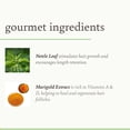 thumbnail image 3 of Aceite capilar Camille Rose Herbal Tea con jojoba y lavanda 265 ml, 3 of 7