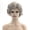 silver, variant on Women Short Curly Wig Natural Style Side Bangs Heat Resistant Synthetic Hair