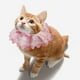 thumbnail image 1 of Collar para gato, babero para cachorro, suministros para mascotas, bufanda para gatito, collar para cachorro para perros pequeños y medianos, , Rosa,, 1 of 8