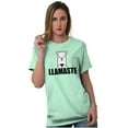 thumbnail image 3 of Llamaste Namaste Spiritual Llama Plus Size Crewneck Graphic Tee Shirt Brisco Brands 2X, 3 of 5