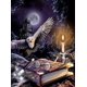 thumbnail image 1 of Kit completo de pintura con diamantes y bordado con diamantes, pintura con diamantes 5D, pintura con diamantes de Harry, lienzo, punto de cruz, completo, 30 x 40 cm, 1 of 5