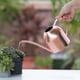 thumbnail image 4 of Irfora La olla pequeña de regadera de oro rosa lo ayuda a regar pequeñas plantas de la casa, suculentas, bonsai o jardines de hierbas - bebedero de plantas de acero para macetas en miniatura - 17 oz Irfora Regadera, 4 of 6