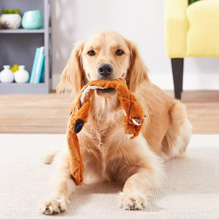 SPOT Skinneeez Extreme Quilted Chipmunk Dog Toy, 23in, for