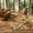Camel, variant on Beltran 3x5 Washable Tiger Area Rug – Vintage Safari Non Slip Carpet, Boho Pink Print Rug for Living Room Bedroom Entryway, Easy Clean