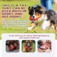 thumbnail image 6 of Duuclume Dog Chew Toy Lobster Pattern Sturdy  Nylon Toys for Medium and Large Dogs Red, 6 of 6