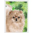 thumbnail image 1 of Carolines Treasures BB9565CHF Toile de Drapeau de Saint Patricks - Taille de la Maison, 1 of 4
