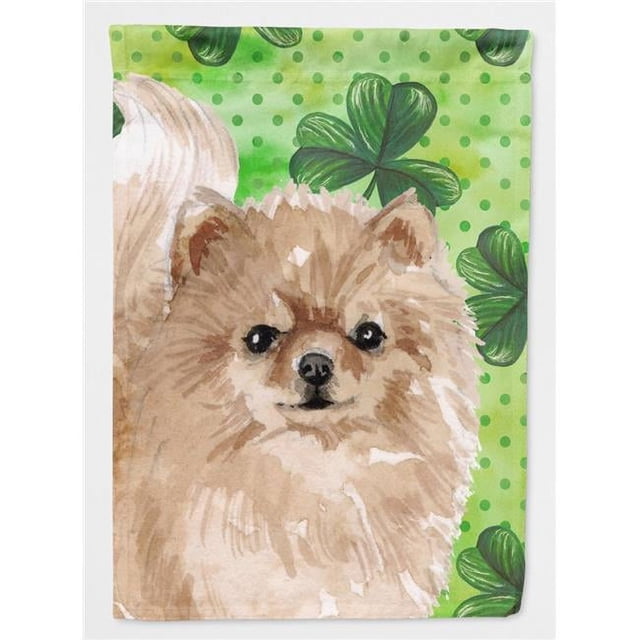 Carolines Treasures BB9565CHF Toile de Drapeau de Saint Patricks - Taille de la Maison