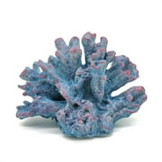 Page 3 - Buy Coral Products Online at Best Prices in Nederland
