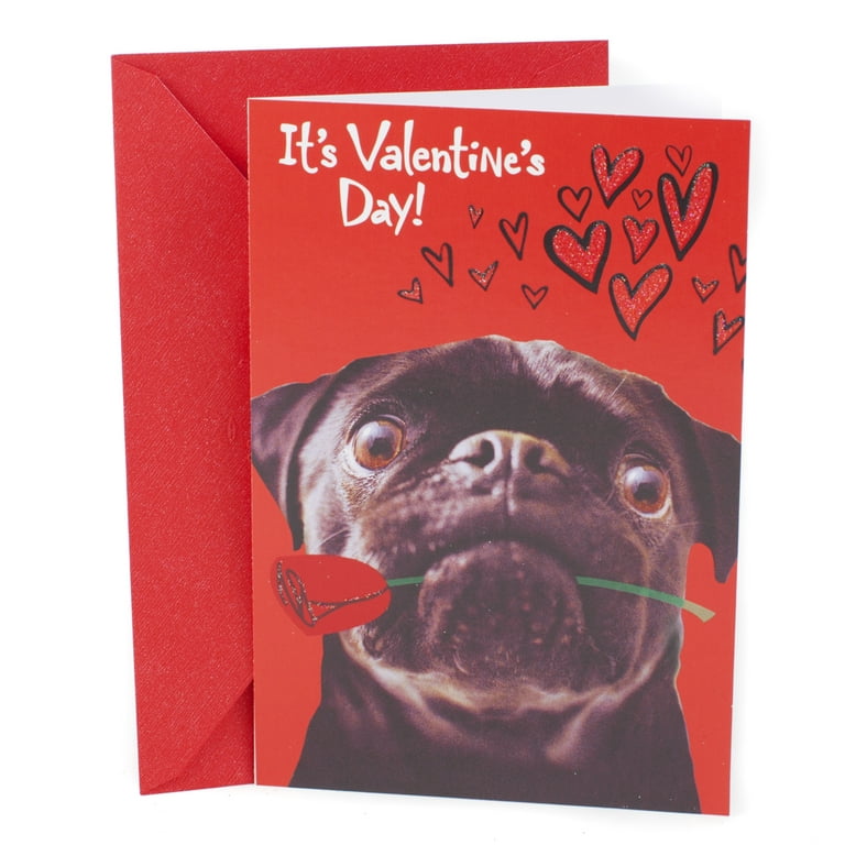 Hallmark Pack of Funny Valentines Day Cards, Pug and a Kiss (6 Valentine  Cards with Envelopes) 