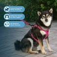 thumbnail image 3 of Voyager Dog Harness Dual Leash Attachment No-Pull Control Adjustable Soft by Strong Pet Harness for Medium and Large Dogs with 3M Reflective Technology with Leash Included - Fuchsia, M (Chest 22-27"), 3 of 8