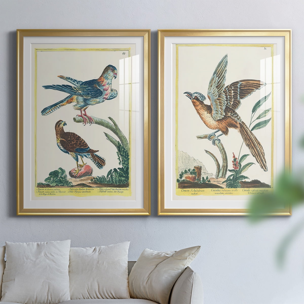 Wexford Home Pastel Birds V Premium Framed Print, 22.5" x 30.5" - Ready to Hang, Gold (Set of 2)