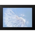 thumbnail image 2 of Schell, Jennie Marie 24x17 Black Modern Framed Museum Art Print Titled - Blue Dandelion Flower, 2 of 5