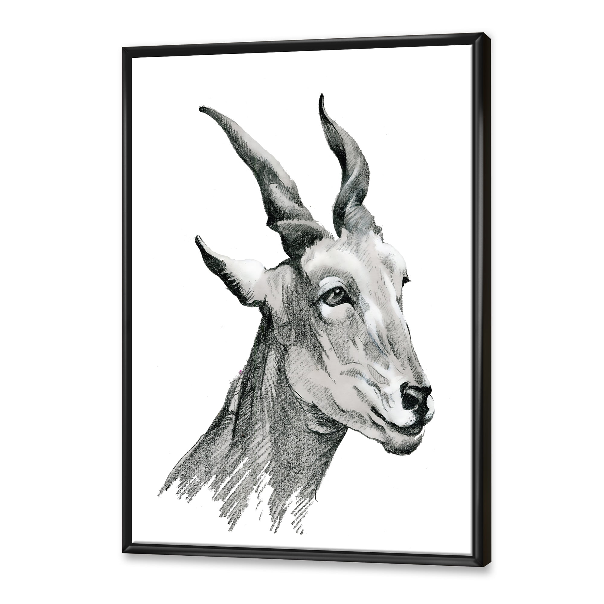 Designart 'Black and White Portrait Of Goat I' Farmhouse Framed Canvas Wall Art Print
