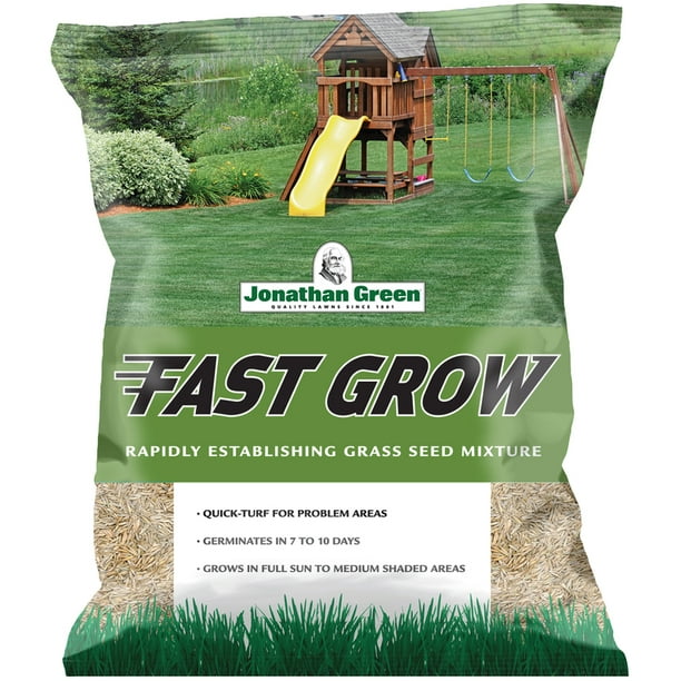 FAST GROW GRASS SEED 7
