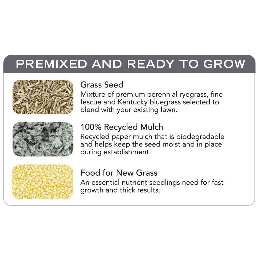 Scotts Co. Scotts PatchMaster Sun and Shade Mix Grass Patch & Repair