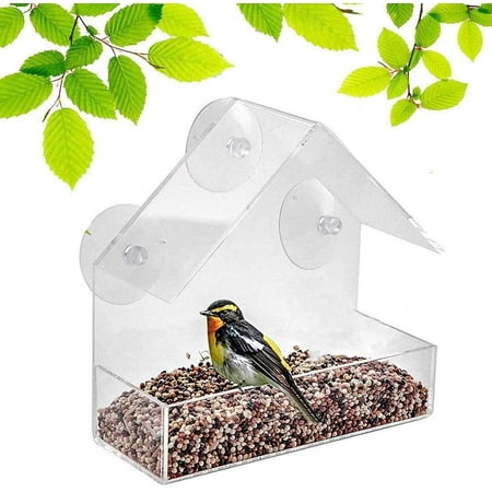 10 Finest Bird Seed products Names