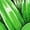 Kelly Green, variant on Inktastic Mental Health Awareness Green Sunflower Ribbon Boys or Girls Baby T-Shirt