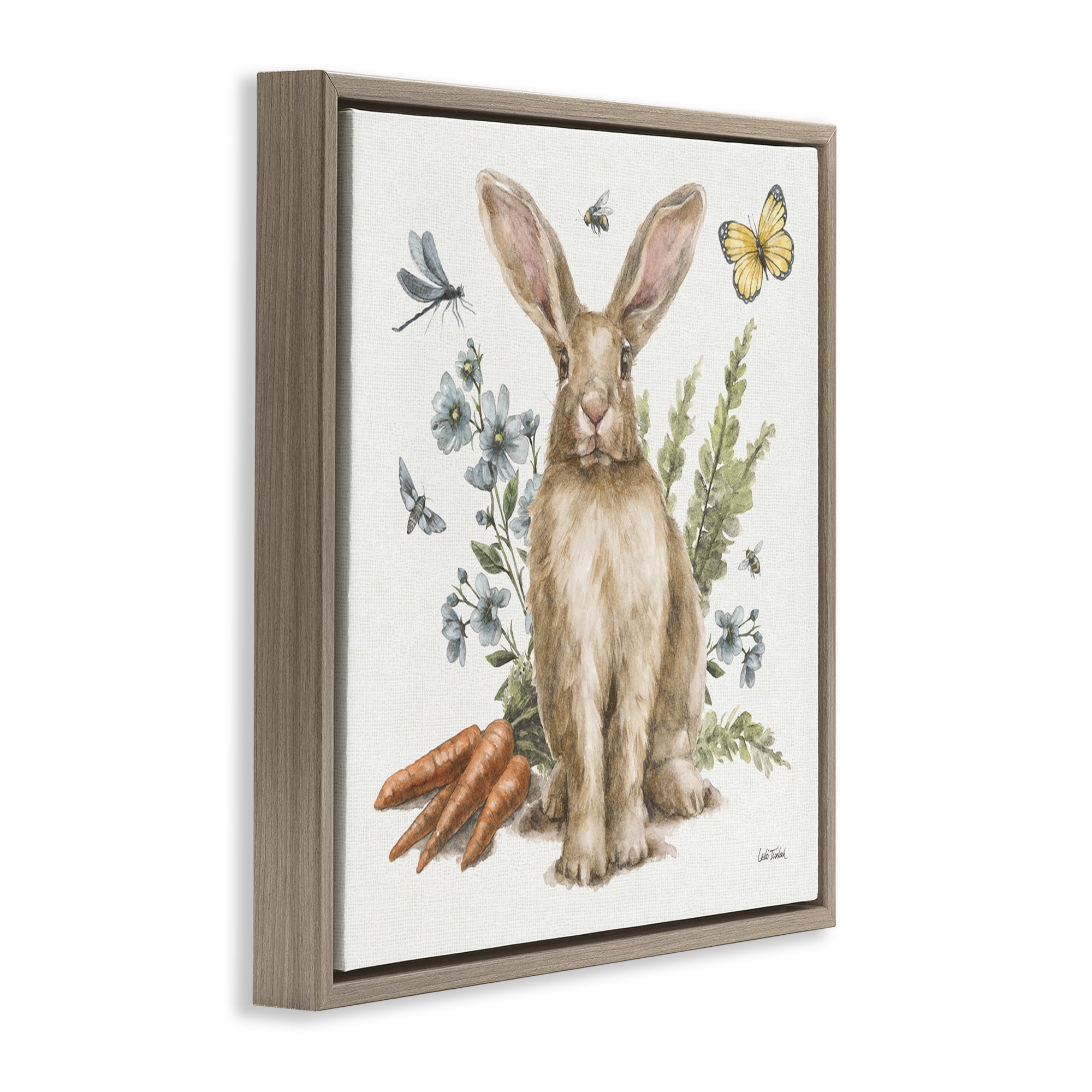 Stupell Industries Rabbit & Garden Patch Animals & Insects Painting Brown Floater Framed Canvas Art Print Wall Art, 25 x 25
