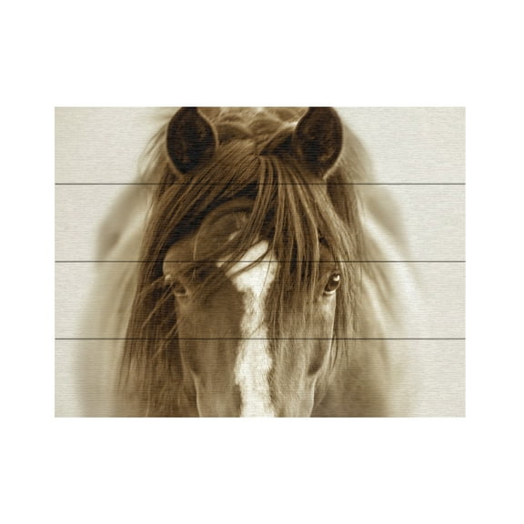 Lisa Dearing 'Ghost Horse' Wood Slat Art 12x16