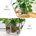 thumbnail image 3 of RENACLIPY Clear Glass Vase Transparent Decorative for Home and Office Use, 3 of 5