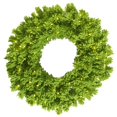 thumbnail image 1 of Couronne de Chaux Floquée Éclairée à la Chaux LED Lights&44; 24 Po., 1 of 1