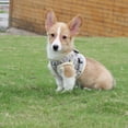 thumbnail image 3 of WINDLAND Dog Harness Pet Leash Anti-Escape Dog Vest Harness Pet Clothes Outdoor Activity Training Harness Vest for Medium Dog, 3 of 15
